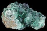 Fluorite Crystal Cluster - Rogerley Mine, UK #99457-2